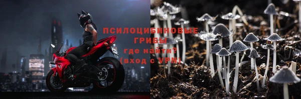 ГАЛЛЮЦИНОГЕННЫЕ ГРИБЫ Новодвинск