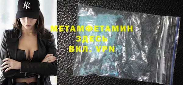 прущие грибы Новозыбков