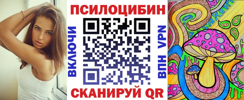 купить наркотики сайты  МЕГА зеркало  Псилоцибиновые грибы мухоморы  Николаевск-на-Амуре 
